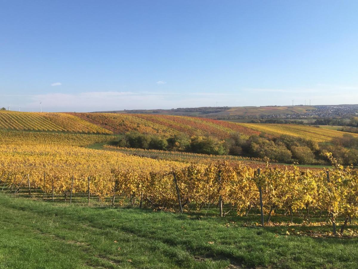 Nieder-Olm  Rheinhessen Apartment מראה חיצוני תמונה